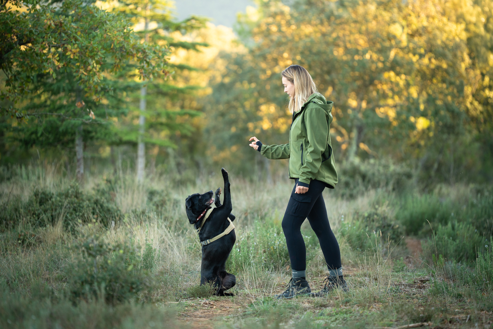Museau Sauvage - Educatrice comportementaliste Canin